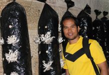 Dampak Bencana di Luwu Utara Terhadap Produksi Kakao Sulsel dan Nasional