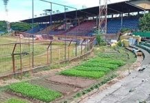 Kompetisi Liga I Musim Depan, PSM Ngandang di Stadion Kalegowa