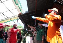 Jika Danny-Fatma Terpilih, Penasehat Walikota Diaktifkan Kembali