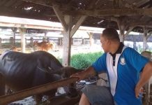 Lahan RPH Harus Selesai Segera, Kalau Lambat Bantuan Hilang