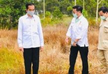 Resufle Kabinet Berhembus, Pengganti Edhy Prabowo Menteri Asal Sulsel?