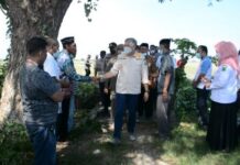 Hadiri Acara ‘Mappalili’ Turun Sawah, Bupati Pinrang Beri Petani Bantuan Pompanisasi