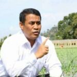 Amran Bongkar Kunci Swasembada Beras, Data Fao Hingga Usda Jadi Bukti
