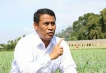 Amran Bongkar Kunci Swasembada Beras, Data FAO hingga USDA Jadi Bukti