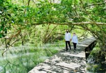 Kunjungi Hutan Mangrove di Bali, Presiden Jokowi Persiapkan Kunjungan Para Kepala Negara G20 2022