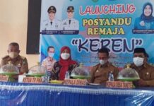 Siapkan Remaja Yang Tangguh, TP-PKK Maros Melaunching Posyandu Remaja Keren