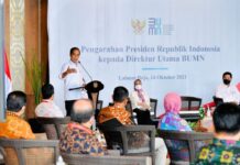Presiden Jokowi Merasa Sering Dipermalukan oleh BUMN Indonesia