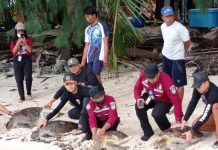 Ditreskrimsus Polda Sulsel Usut Tuntas Empat Pelaku Kasus Penyu di Pulau Kapoposan
