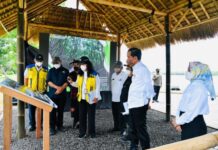 Kunjungi Hutan Mangrove di Bali, Presiden Jokowi Ini Bentuk Komitmen Indonesia dalam Perubahan Iklim