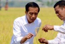 Pemuda se Nusantara Datang ke Makassar dan Bersumpah: Akan Memperjuangkan Amran Sulaiman Memimpin Bangsa