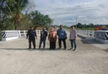Hindari Kecelakaan, Plt Gubernur Sulsel Pelebaran Jembatan Sungai Palattae Bone