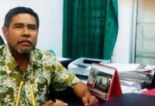 Dipastikan, Gubernur Andi Sudirman Sulaiman Memimpin Sulsel Tanpa Wakil, Prof Armin: Pemerintahan Akan Lancar Tanpa Wagub