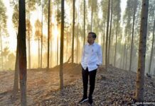 Ini Cerita Presiden Jokowi, Melihat Rembulan Jelang Purnama di Sela-Sela Pohon