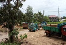 Warga Minta Polres Maros Tertibkan Truk Pengangkut Tanah di Marusu, Diduga Ada Yang Curi Tanah Timbunan