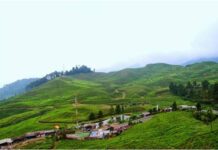 Liburan di Puncak Rasa Bali? Yuk Menginap di 5 Penginapan Berikut