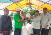 Kembangkan Budidaya Udang di Pulau Lakkang, Pemprov Sulsel Salurkan Benih Udang Sitto