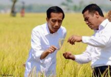 Gubernur Kalsel Sebut Kebijakan Andi Amran Sulaiman Saat Jadi Mentan, Buat Ketahanan Pangan Indonesia Jadi Kokoh