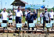 Gubernur Andi Sudirman Sulaiman: Pemprov Sulsel Sudah Tanam 1,7 Juta Batang Mangrove