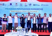 Gubernur Sulsel Andi Sudirman Bareng Tiga Menteri RI ke Maros Menanam Mangrove