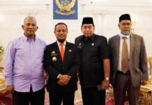 Rangkul Tokoh Luwu Raya, Gubernur Sulsel Lantik Bachrianto Bahtiar Jadi TA TGUPP, Rosmini Pandin Jadi Kepala Dinkes