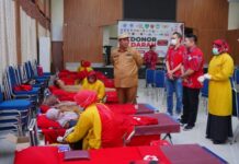PSMTI Sulsel Gelar Donor Darah di Kantor Bupati Maros, ASN Ramai-Ramai Jadi Pendonor