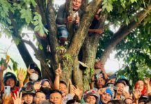 Usai Terima Gelar dari Sultan Ternate, Jokowi Sambangi Pedagang di Pasar Bahari Berkesan