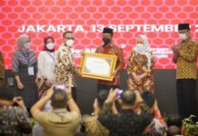 Berhasil Penuhi Kebutuhan Guru di Sulsel, Gubernur Andi Sudirman Terima Penghargaan Menpan-RB