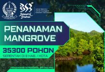 Besok, Gubernur Andi Sudirman bersama Pelajar SMA Tanam 35.300 Pohon Mangrove