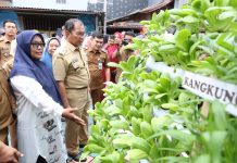 Hadapi Krisis Global, Danny Pomanto Dorong Warga Manfaatkan Pekarangan Menanam Tanaman Pangan Keluarga