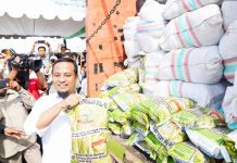 Gubernur Andi Sudirman Luncurkan Mandiri Benih Gratis dan Salurkan Bantuan Pertanian Rp66 Miliar