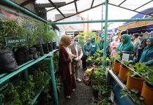 Meski Gerimis Rombongan Dekranas Pusat Main Dende-Dende Saat Kunjungi Longwis Binaan TP PKK Makassar
