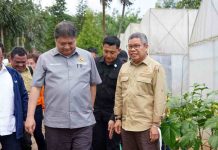 Taufan Pawe Kawal Airlangga Hartarto dan Agus Gumiwang Sambangi PT Vale Sorowako