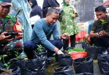Gerakan Menanam 1 Juta Polybag Pemkot Makassar, Camat Ujung Pandang Siap Sukseskan