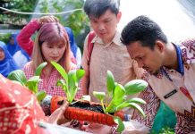 Tinjau Lorong Wisata, Tim SCE Puji Program Inisiatif Pemkot Makassar