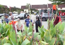 Fatmawati Rusdi Serius Tata Taman Kota Makassar