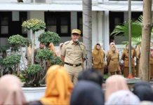 Aset Danny Pomanto Meroket, Ini Penyebabnya