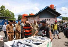 Wali Kota Danny Pomanto Pimpin Langsung Kesiapan Kedatangan Presiden Jokowi di Makassar