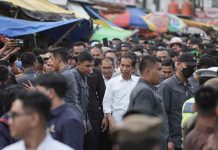 Jokowi Puji Stabilitas Harga Pangan di Makassar, Danny Pomanto: Kita Intervensi Terus
