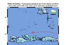 Gempa di Laut Bima, Getarannya Terasa di Labuan Bajo Hingga Makassar