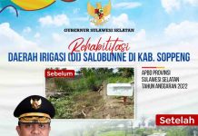 Rehab Irigasi Salobunne Rampung, Gubernur Andi Sudirman Harap Tingkatkan Hasil Pertanian