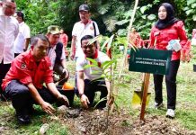 Gubernur Andi Sudirman Tanam Bibit Pohon Eboni di Bantimurung Maros