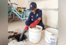 Bantu Warga Atasi Masalah Sanitasi, Dinas PU Makassar Hadirkan Layanan Sedot Tinja
