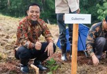 Wajo Akhiri Puasa Kokon Setelah 20 Tahun, Bupati Wajo: Terima Kasih Pak Gubernur!