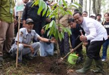 Gubernur Sulsel Andi Sudirman Tanam 1 Juta Pohon Bersama Siswa