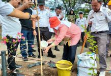 Genjot Hutan Kota Bertambah, Ketua TP PKK Makassar Gaungkan Penghijauan