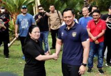 Soal Mimpi SBY, Puan Maharani Setuju Dengan Saran Peneliti LKP: Itu Pertanda Baik Untuk Membangun Bangsa