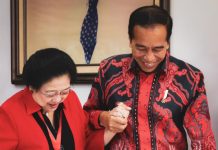 Agar Pilpres Tak Ada Riak-Riak, Jokowi: Maka Saya Cawe-Cawe!