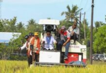 Hadiri Panen Padi di Maros, Mentan SYL: Harus Pastikan Ketersediaan Beras Karena Kita Hadapi El-Nino