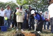 Fatmawati Rusdi Jalan Kaki Sepanjang 3 Km, Ajak Tanam Pohon dan Pantau Aksi Jumat Bersih