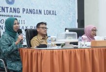 Pacu Ketahanan Pangan Lokal, TP PKK Kota Makassar Kenalkan di Tingkat Kecamatan